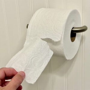 دستمال توالت