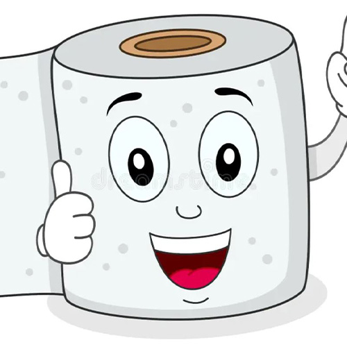 دستمال توالت