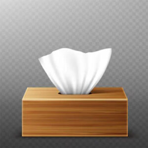 قیمت دستمال دلسی